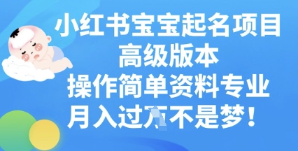 小红书宝宝起名项目高级版本，操作简单，资料专业，月入过W-下班副业站