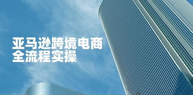 (14252期)亚马逊跨境电商全流程实操,教你从零开始,掌握店铺运营与广告技巧-下班副业站