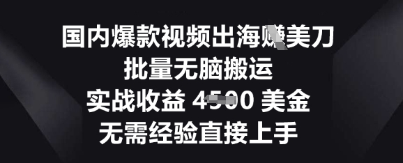 国内爆款视频出海挣美刀,批量无脑搬运,实战收益4.5k,无需经验直接上手-下班副业站