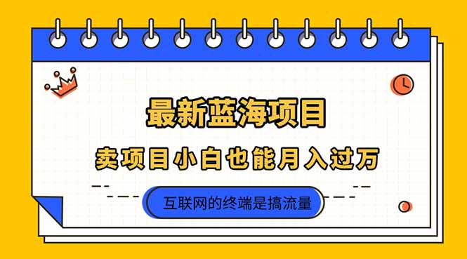 (14289期)2025年最新蓝海项目,卖项目小白也能月入过万-下班副业站