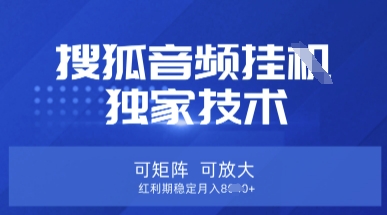【搜狐音频挂G】独家技术，可矩阵可放大，红利期稳定月入8k【揭秘】-下班副业站