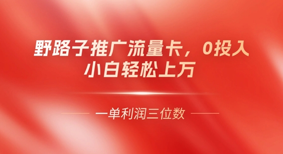 0门槛推广流量卡,一单收益上百,0投入,小白月入过W-下班副业站