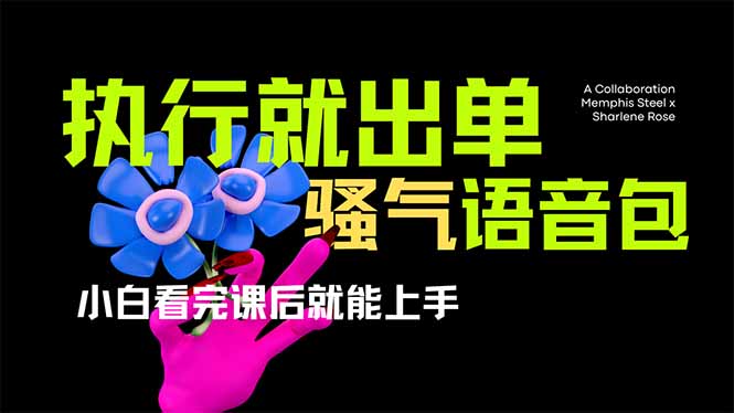 (14170期)爆火全网的开车导航骚气语音包,只要执行就出单,小白看完课程就能实操...-下班副业站