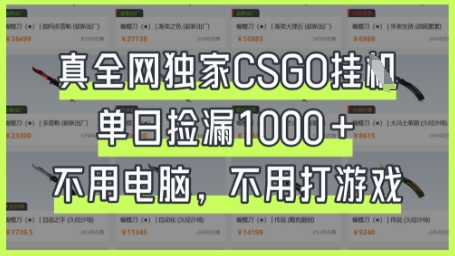 真全网独家CSGO挂G,单日捡漏1k+【揭秘】-下班副业站