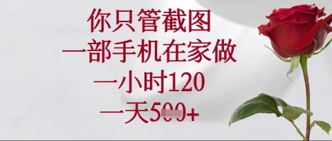 你只管截图,一部手机在家操作,一小时120.一天5张【揭秘】-下班副业站